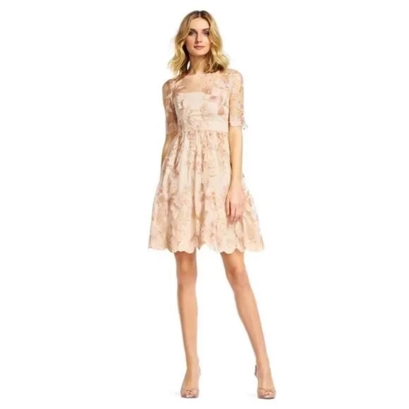 NWT Adrianna Papell x BHLDN Nadine Illusion Embroidered Lace Dress in Blush Gold - Picture 3 of 9